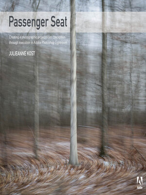 cover image of Passenger Seat